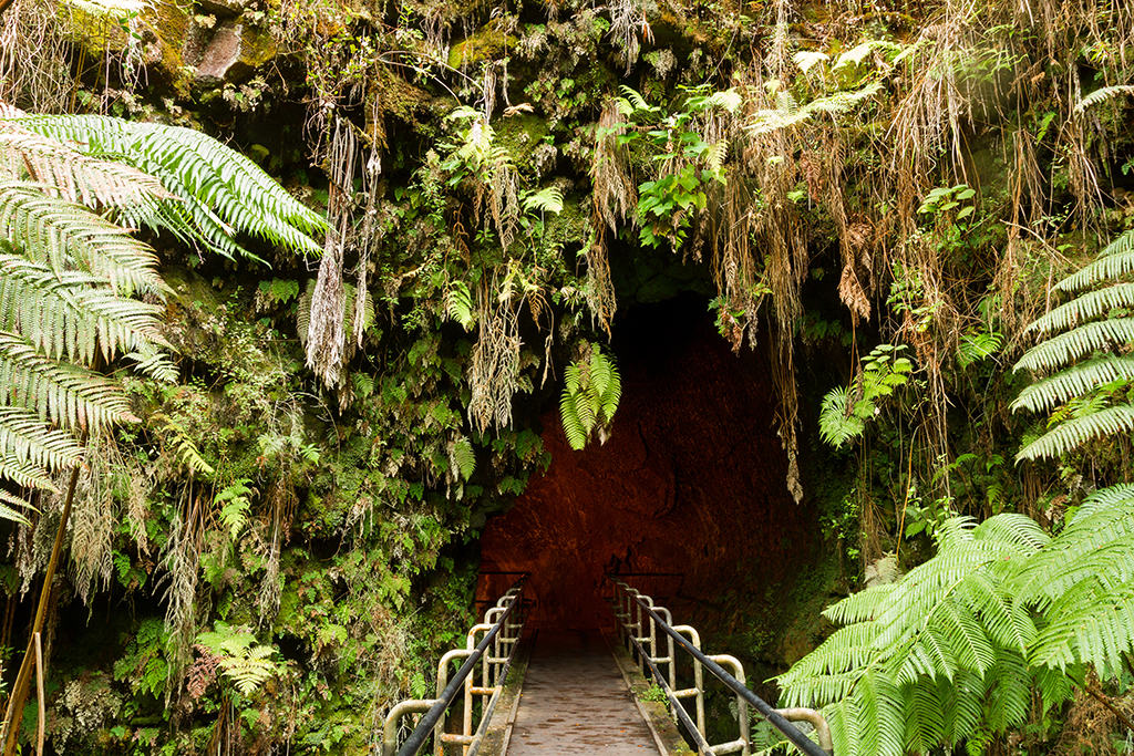 Hawaii - 036.jpg - Thurston Lava Tube, Hawaii Volcanoes National Park